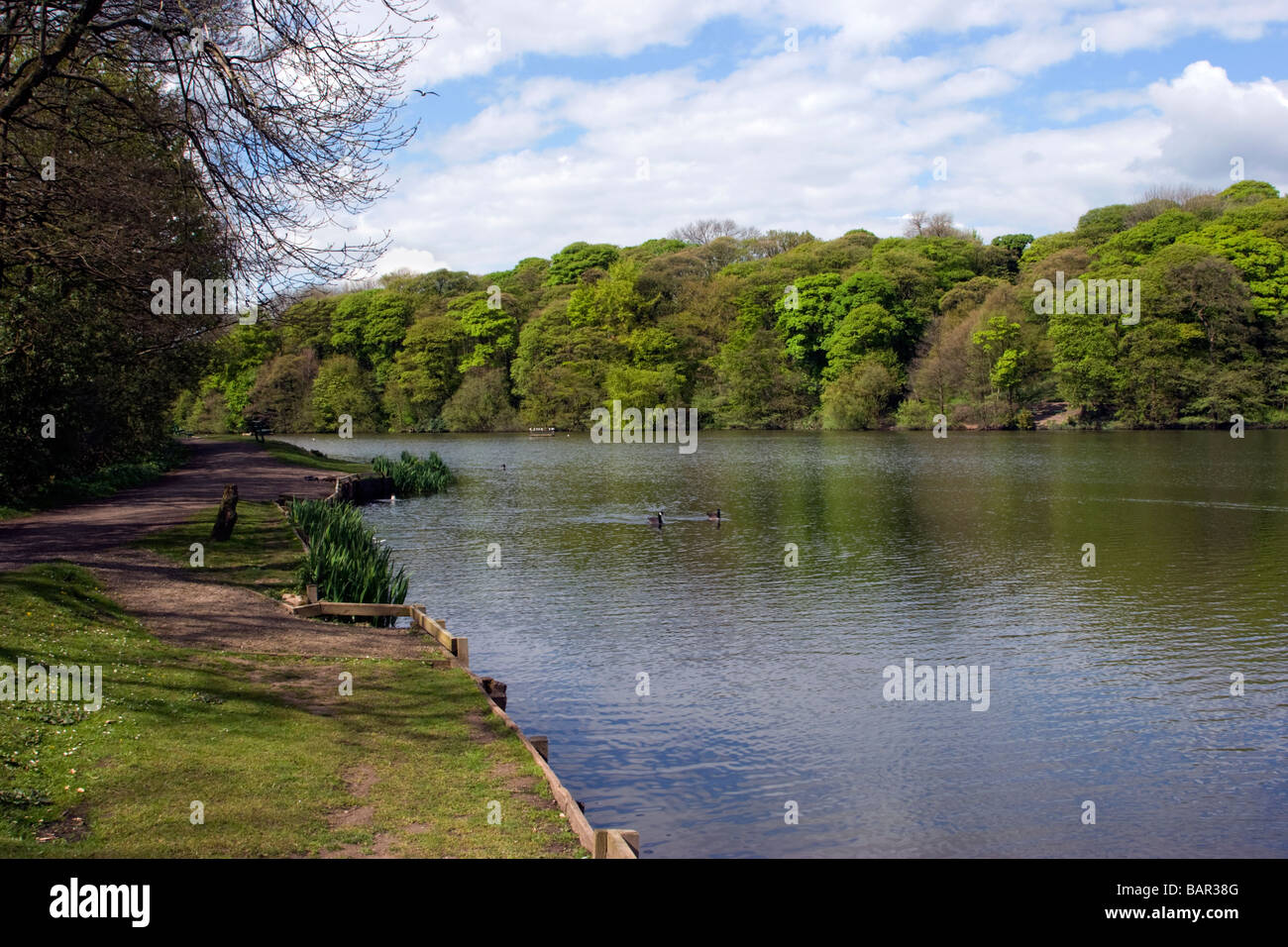 Lac à Yarrow Valley County Park Chorley Banque D'Images