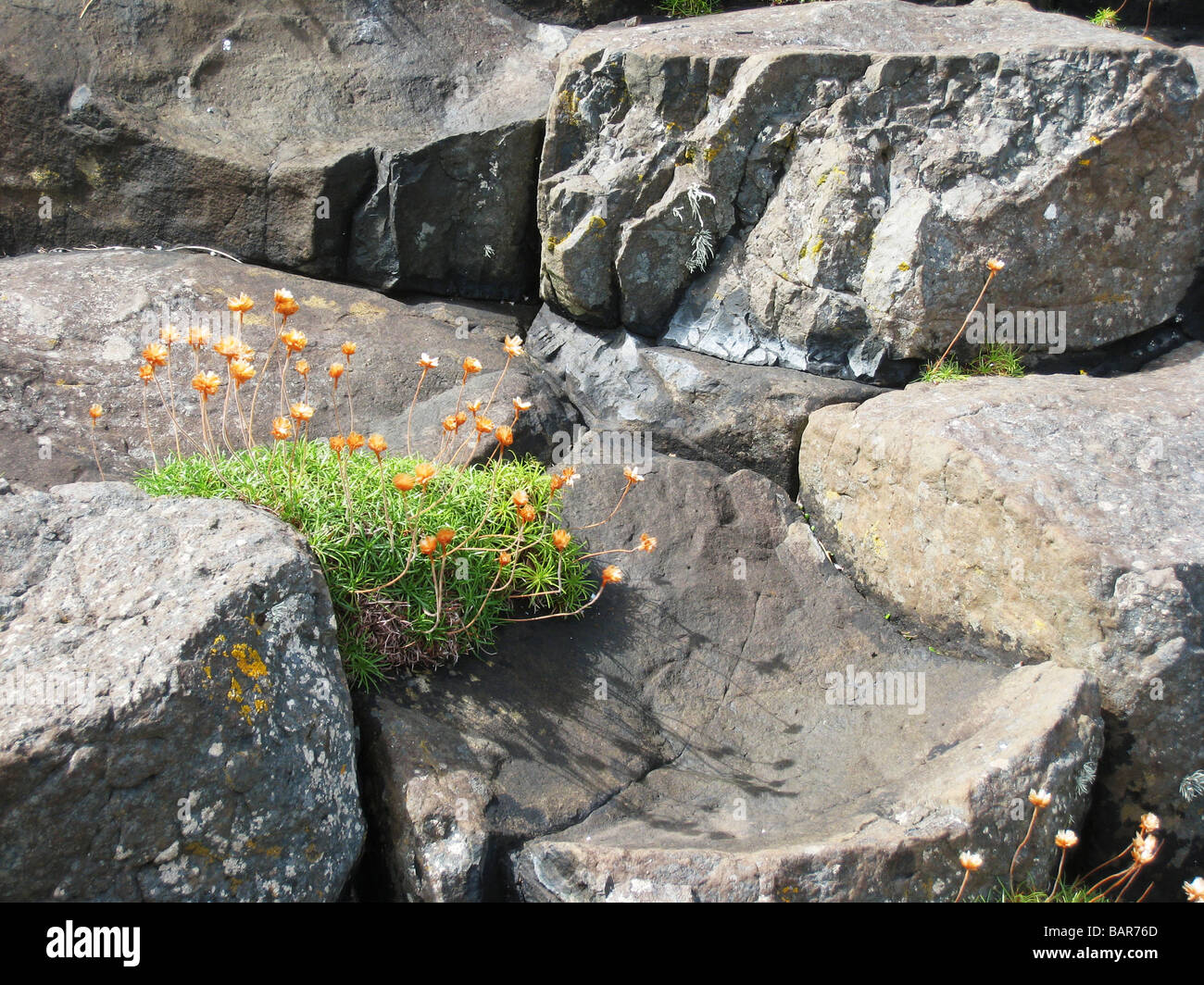 L'île de Staffa, célèbre pour la Grotte de Fingal, est fait de roches basaltiques volcaniques hexagonales. Banque D'Images