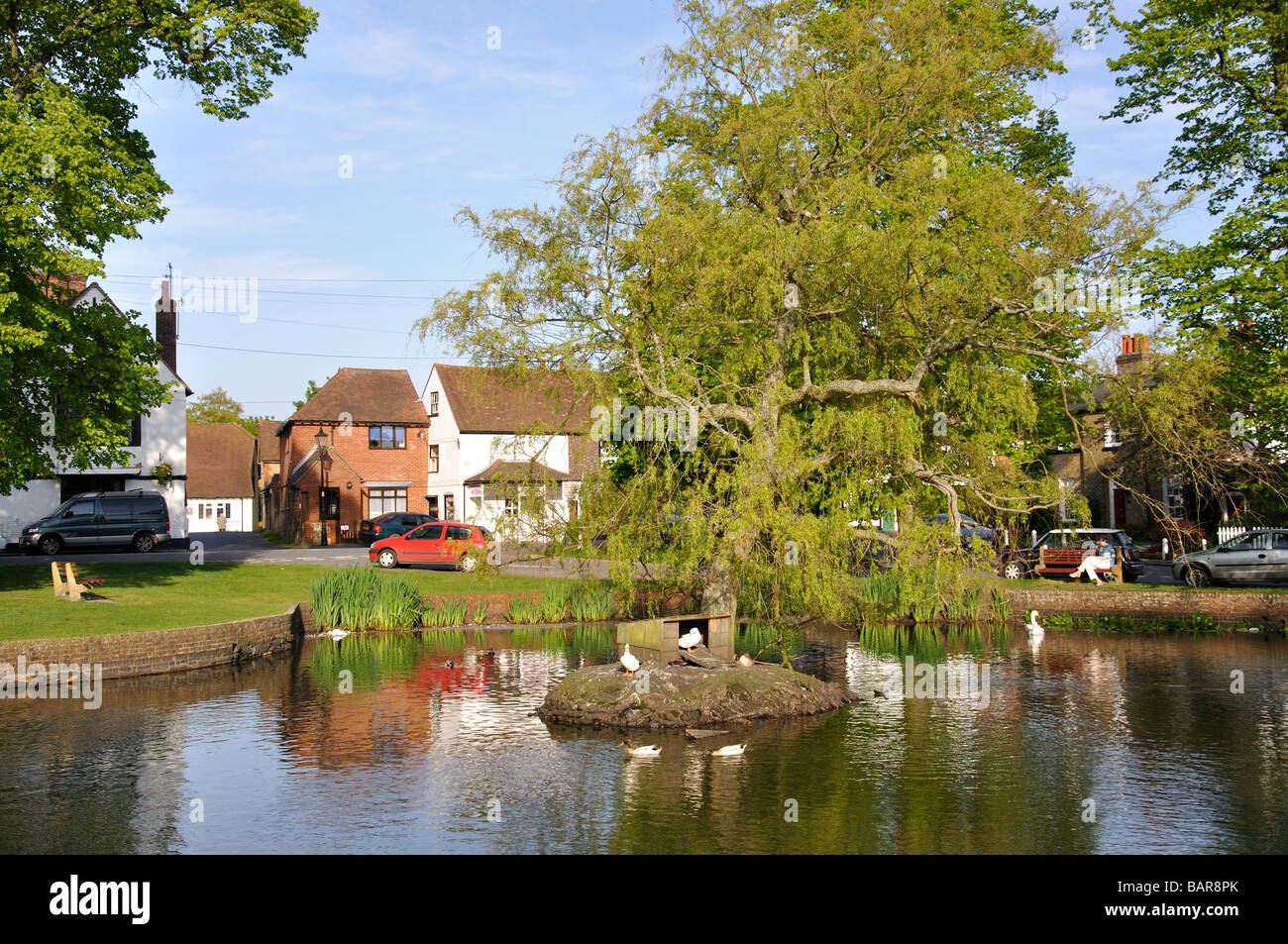 L'étang, Godstone vert, Godstone, Surrey, Angleterre, Royaume-Uni Banque D'Images