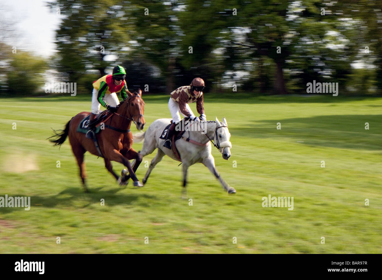 Point à l'autre course à cheval Surrey Godstone Banque D'Images