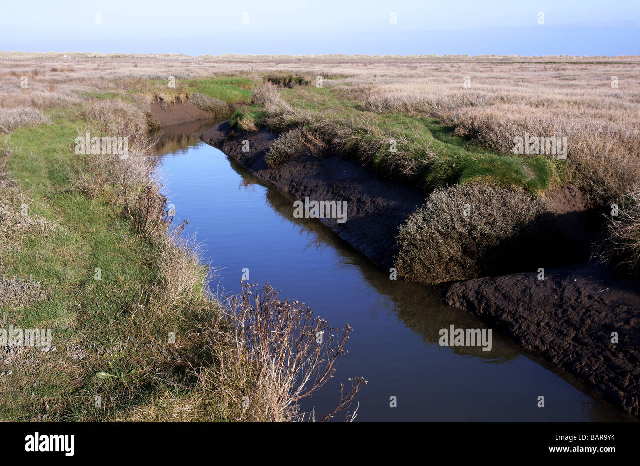 Salt-marsh au point d'Ayr. Le Nord du Pays de Galles. Banque D'Images