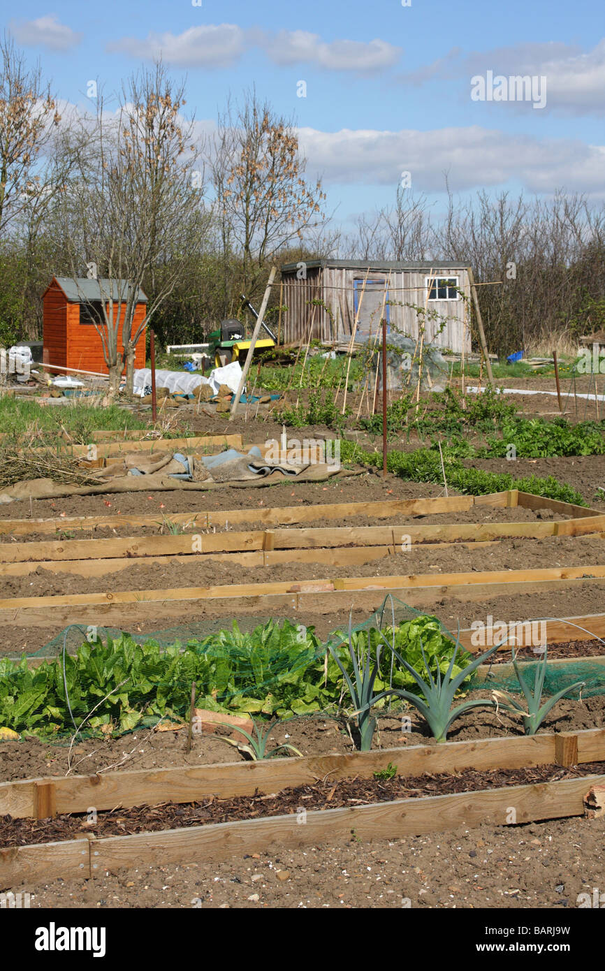 Jardins d'attribution dans le Nottinghamshire, Angleterre, Royaume-Uni Banque D'Images