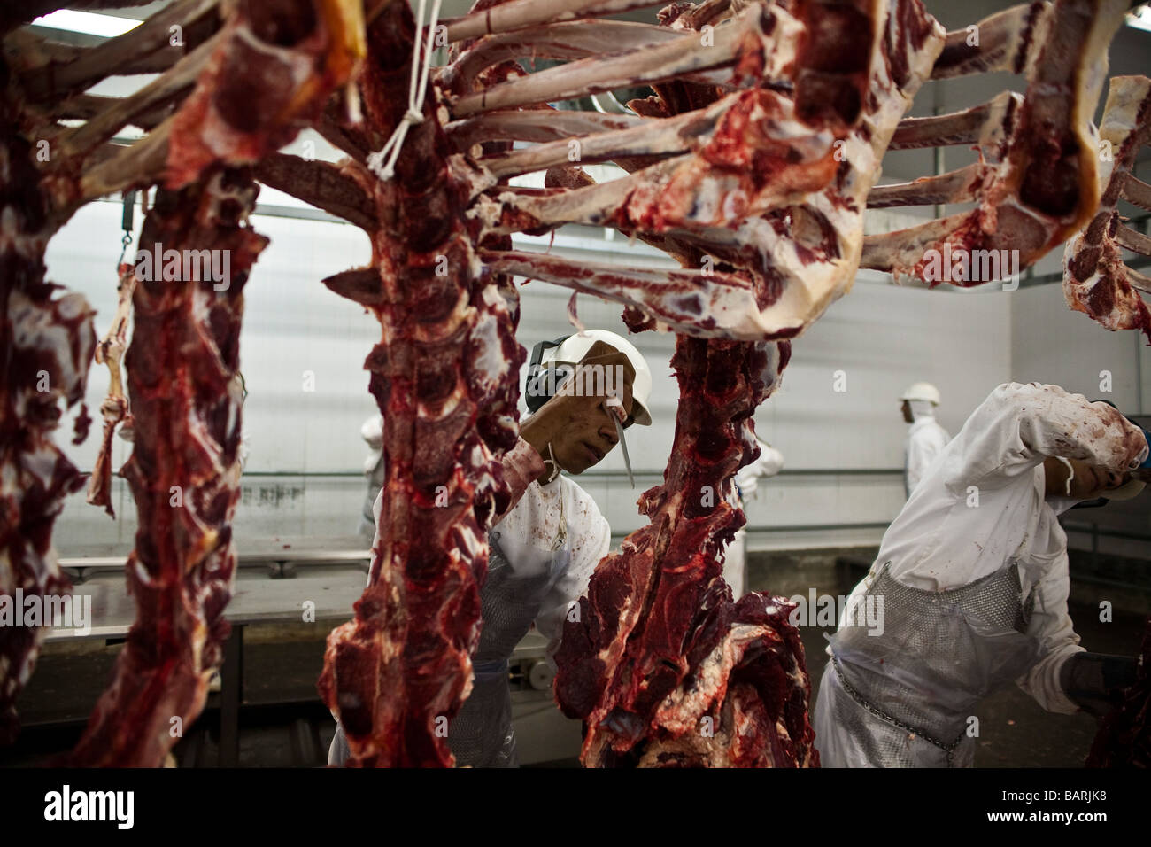 Facilité d'exportation de viande de l'abattoir de l'État du Mato Grosso au Brésil Amazon Banque D'Images