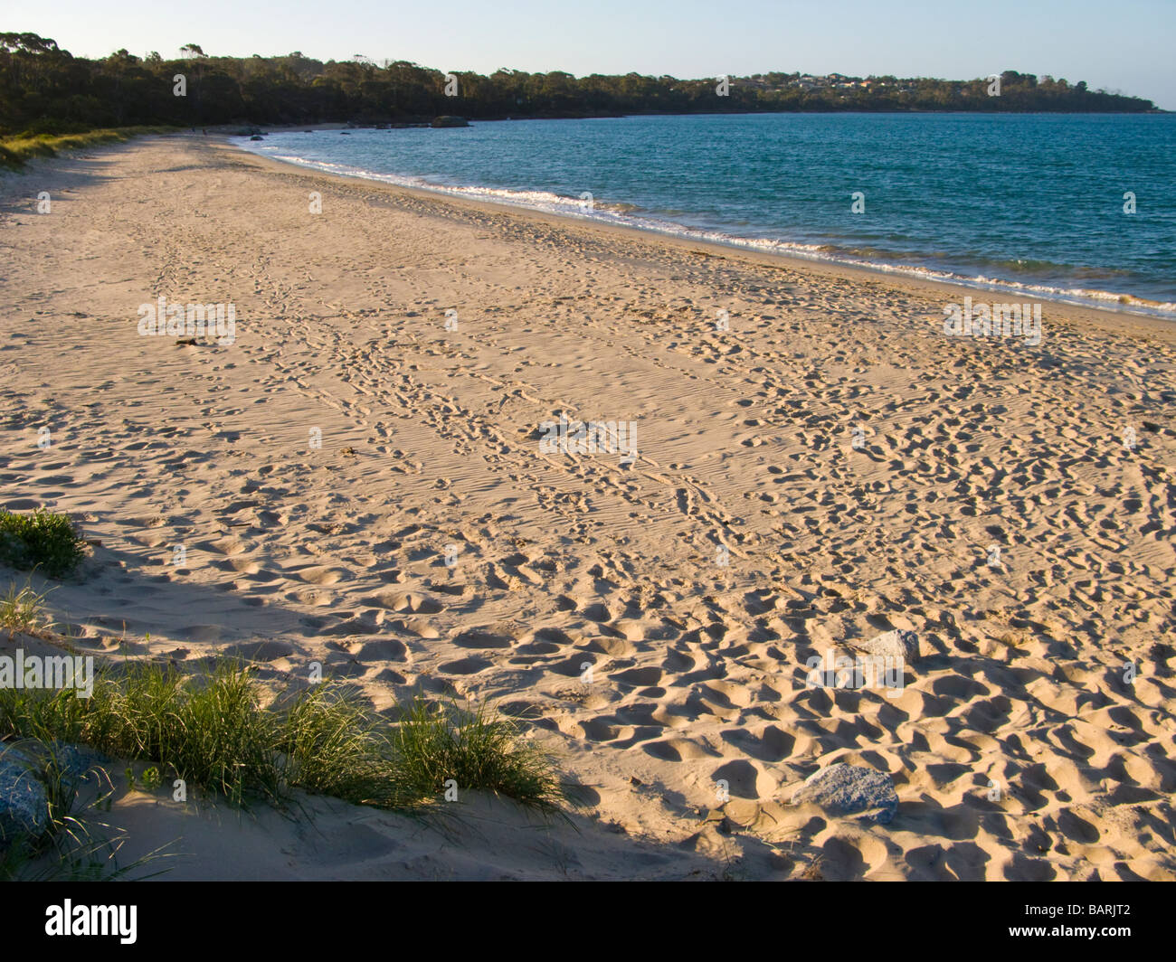 La Tasmanie Australie Bridport Beach Banque D'Images