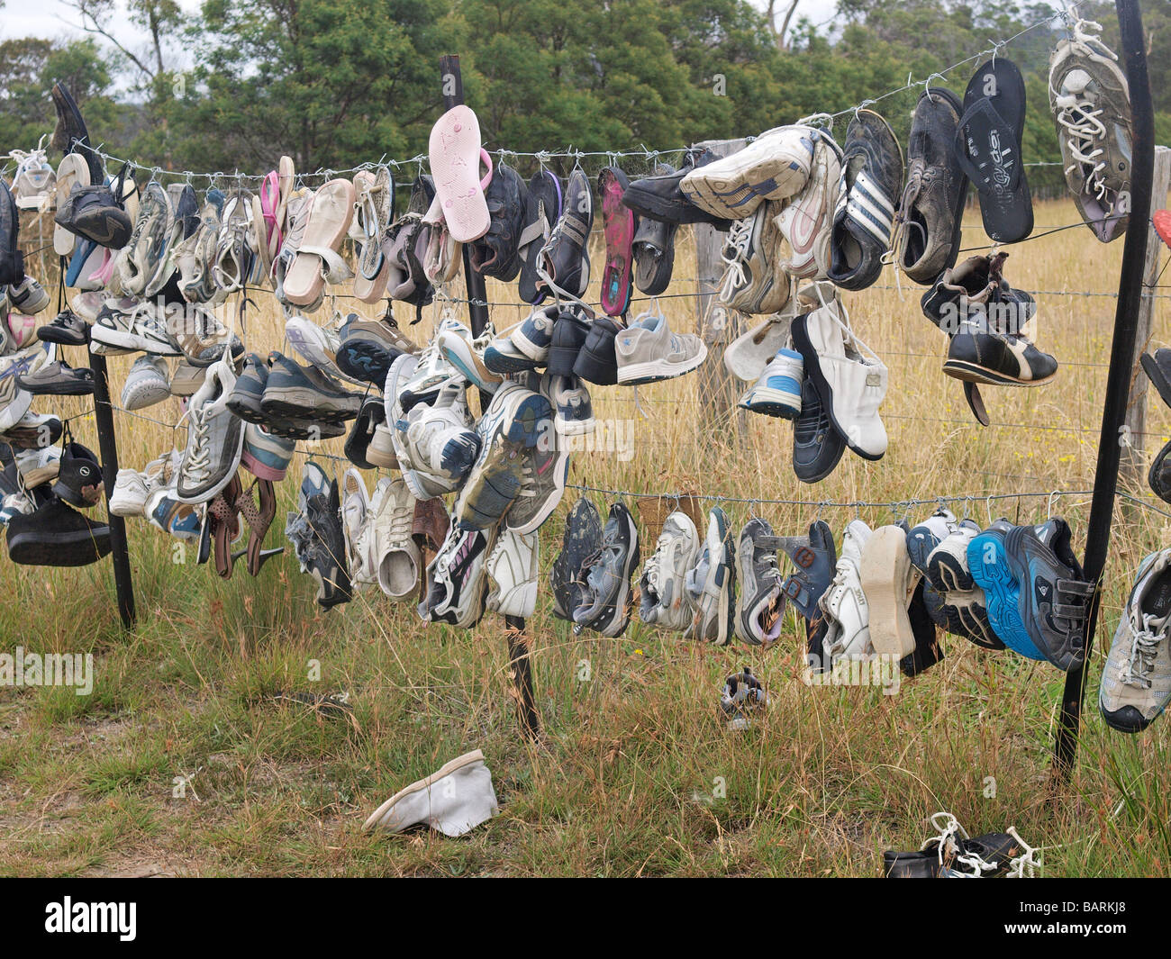 Formateurs perdus et abandonnés, des tongs et des chaussures accrochées sur barbelés Tasmanie Australie Banque D'Images