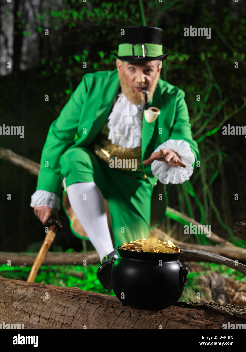 Leprechaun avec un pot d'or dans une forêt Banque D'Images