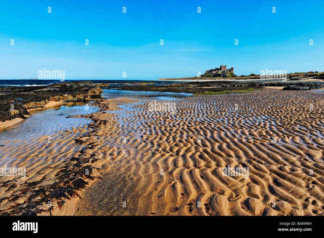 Tideline à plage de Bamburgh dans le Northumberland, à l'horizon est le château de Bamburgh Banque D'Images
