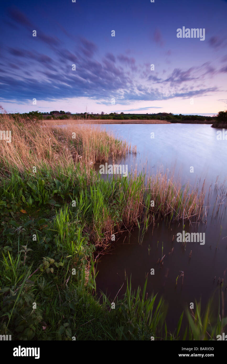 Soirée à l'Extrême Ings Réserve naturelle nationale en Amérique du Lincolsnhire détenue et dirigée par la fiducie de la faune du Lincolnshire Banque D'Images