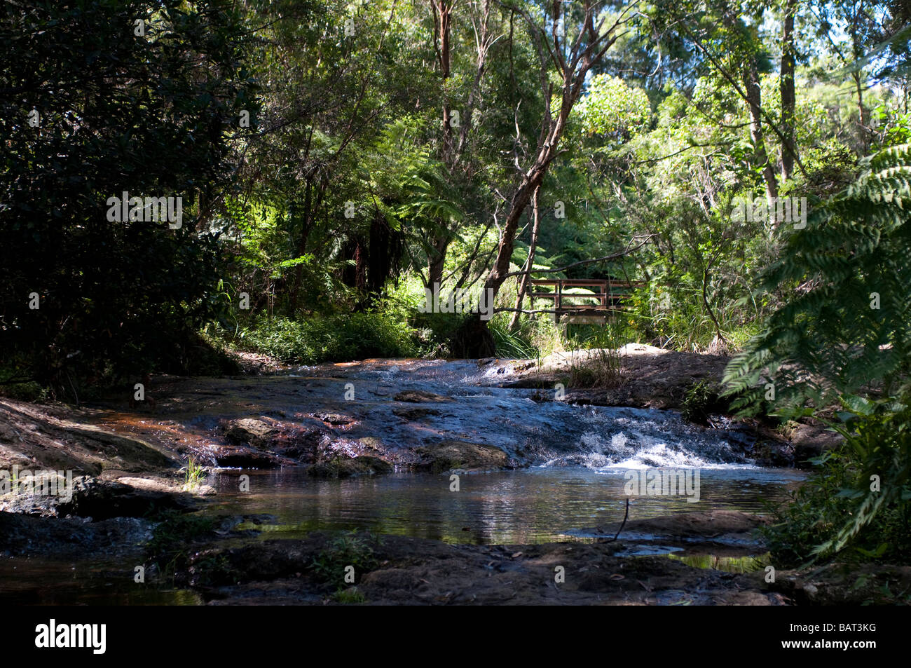 Creek Parc National de Springbook Queensland Australie Banque D'Images