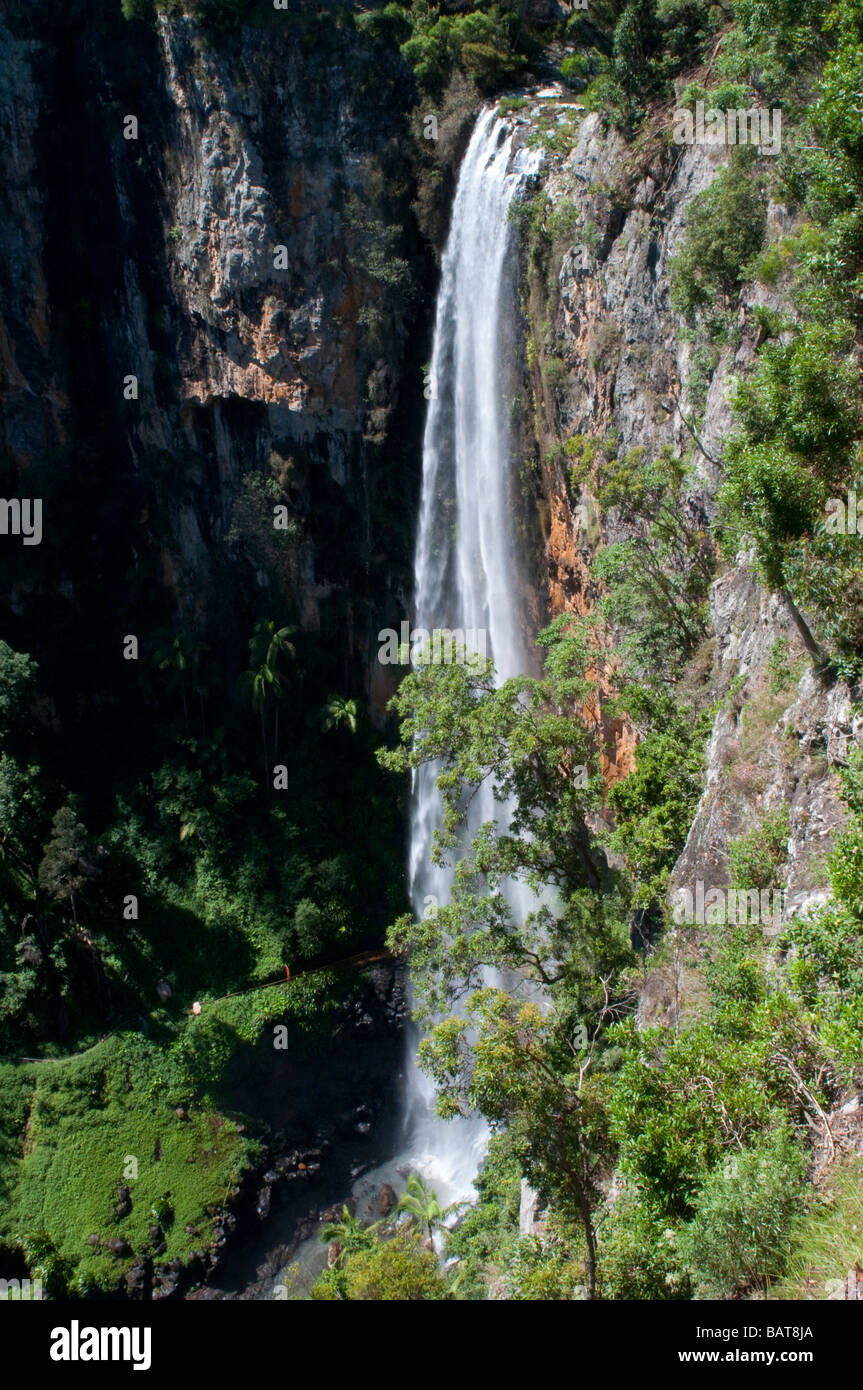 Purlingbrook Falls Parc national de Springbook Queensland Australie Banque D'Images