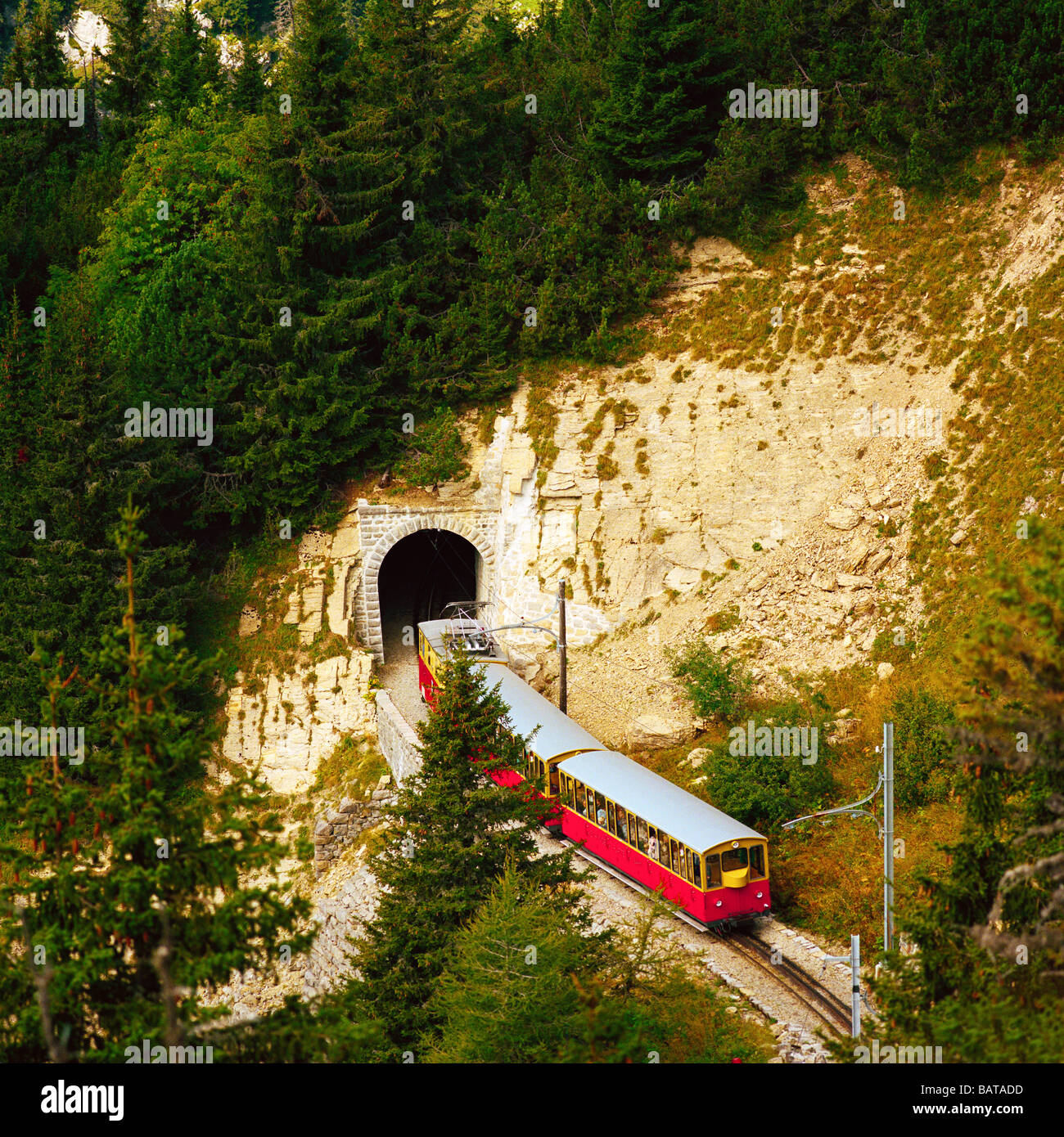 Train à crémaillère de la Schynige Platte entrant ferroviaire suisse tunnel Banque D'Images