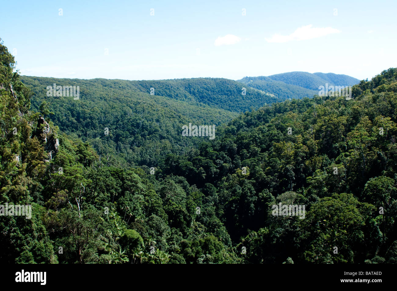 Parc national de springbook Queensland Australie Banque D'Images