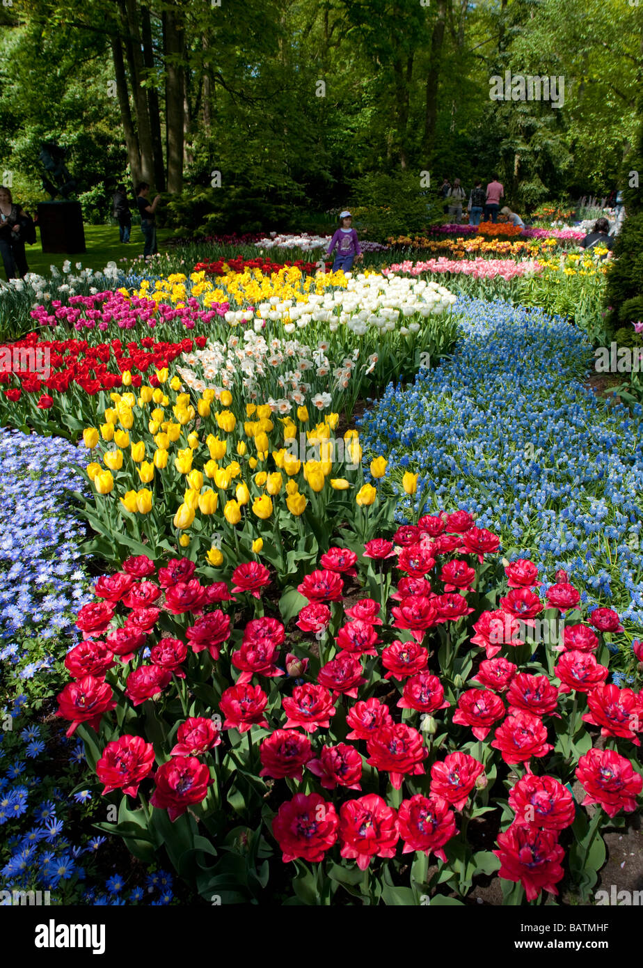 Fleurs colorées au jardin de Keukenhof à Lisse, aux Pays-Bas Banque D'Images