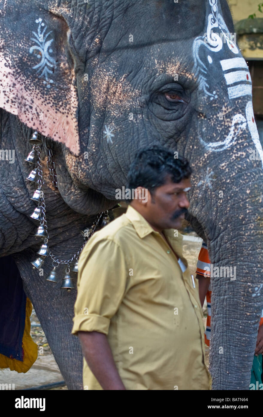 Décoré d'un éléphant hindou au meenakshi Amman Temple Sundareswarar à Madurai, Tamil Nadu, Inde Banque D'Images