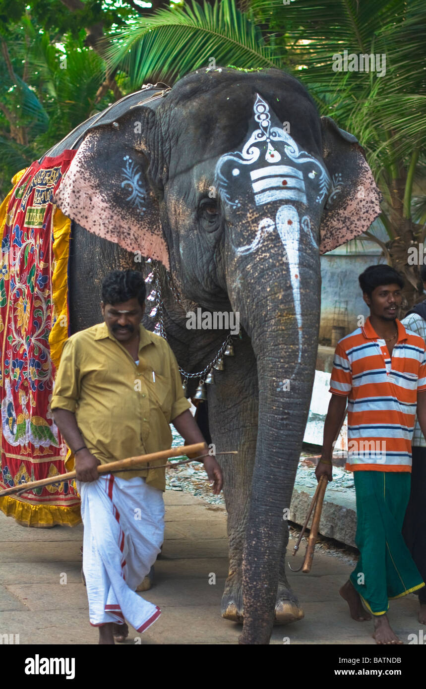Décoré d'un éléphant à l'Hindou à Madurai, Tamil Nadu, Inde Banque D'Images