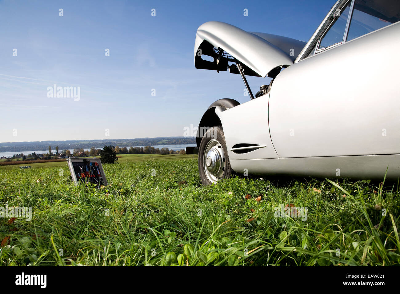Voiture classique avec capot ouvert debout sur meadow Banque D'Images