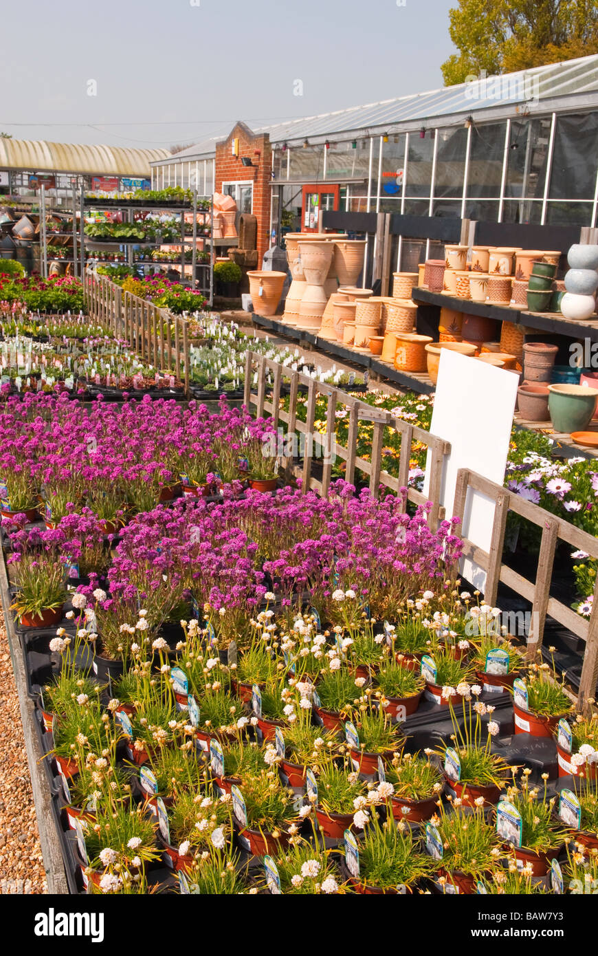 Une vue générale d'un uk garden centre plantes et vente d'articles de jardinage Banque D'Images
