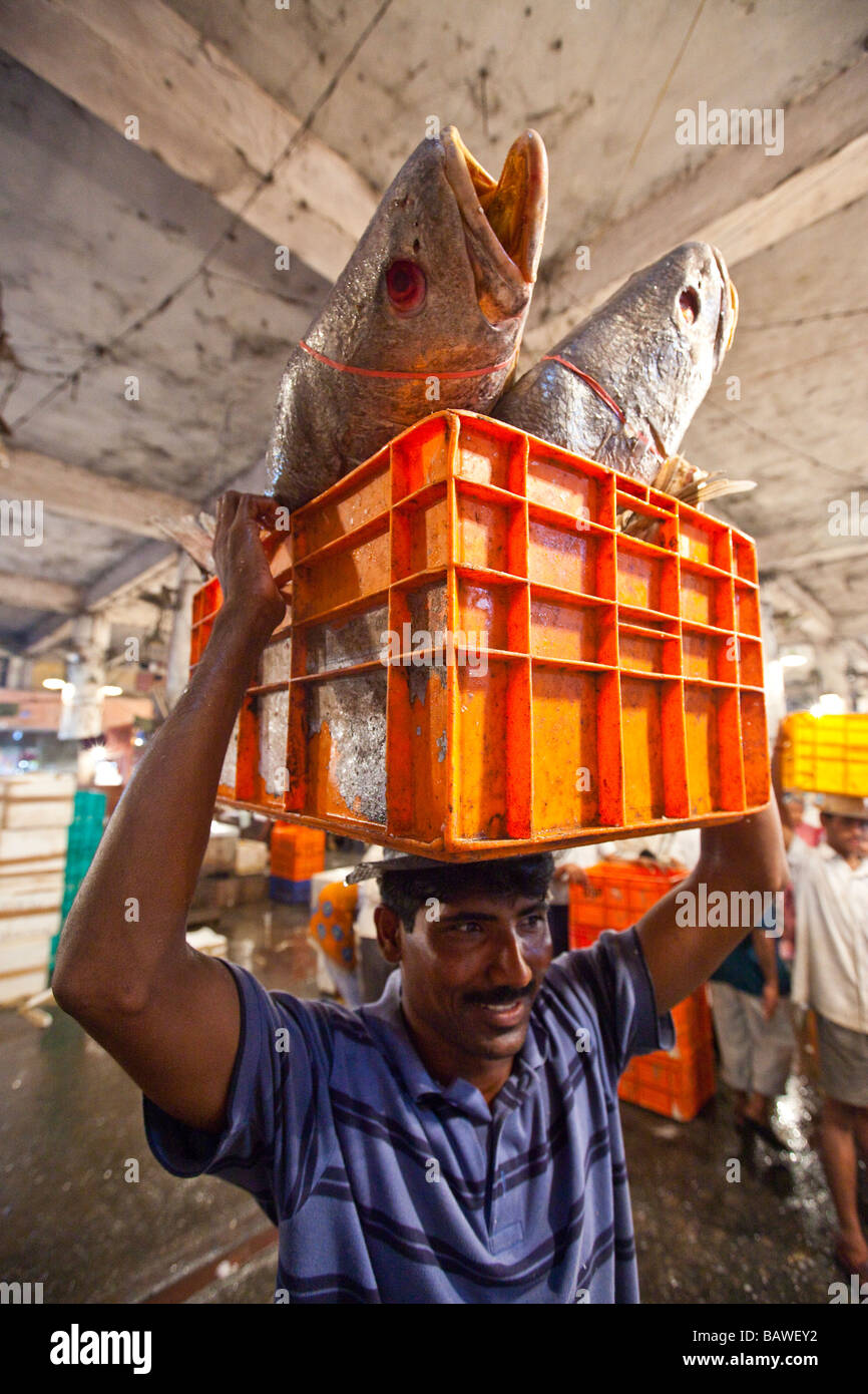 Homme transport du poisson dans le marché au poisson de Crawford Mumbai Inde Banque D'Images
