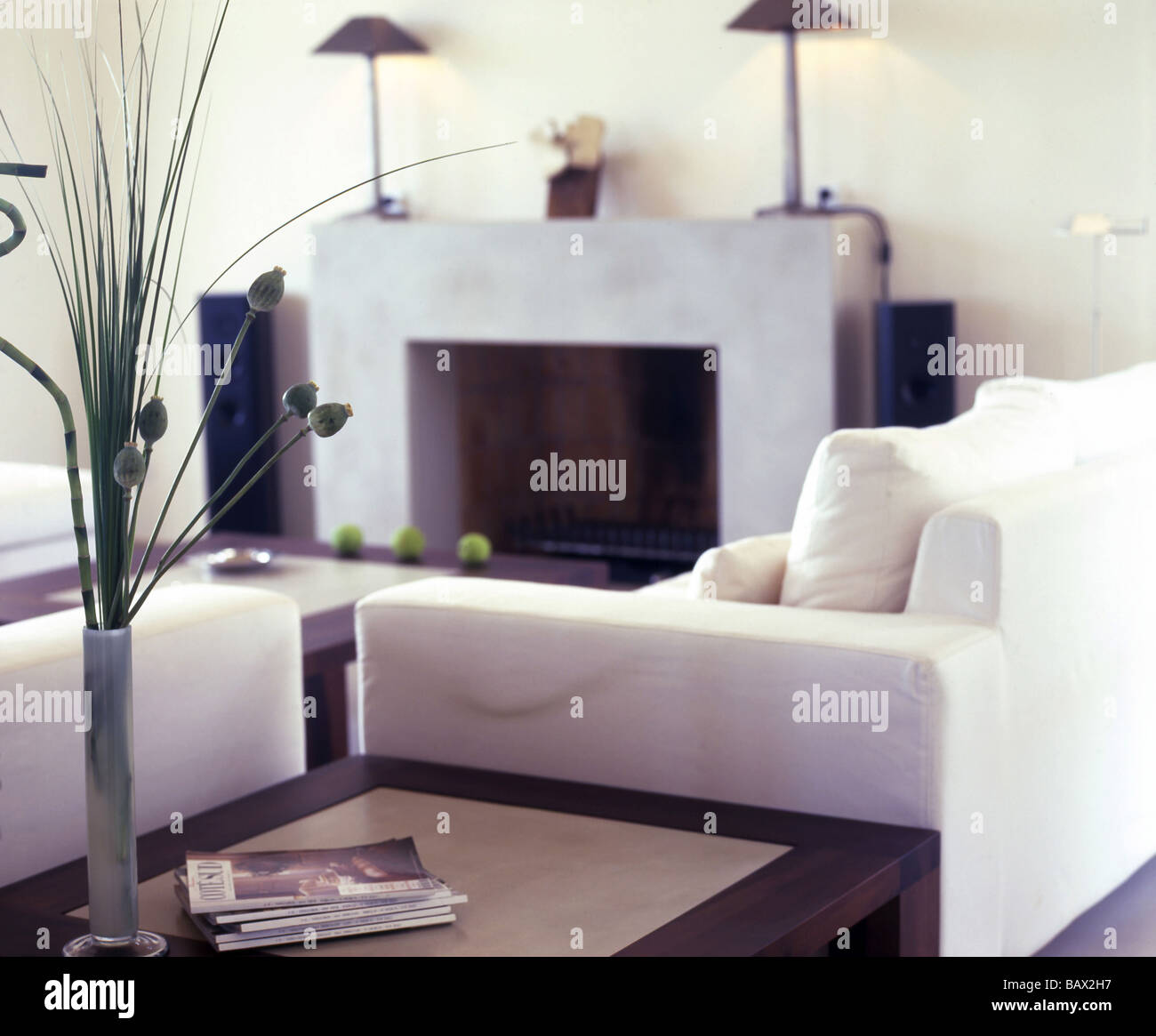 Salle avec cheminée en blanc Banque D'Images