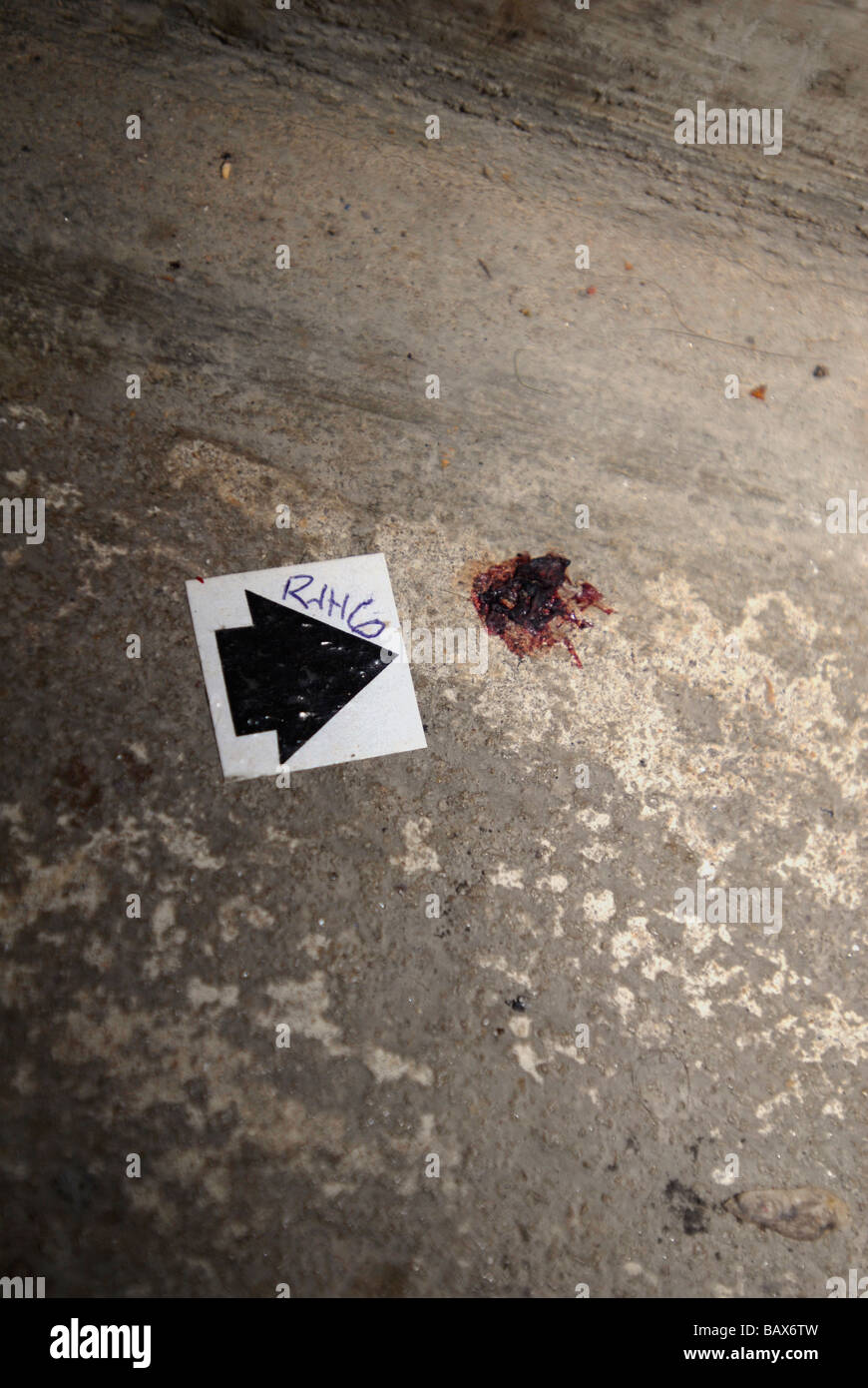 Taches de sang marqué par une flèche noire dans une scène de crime Banque D'Images