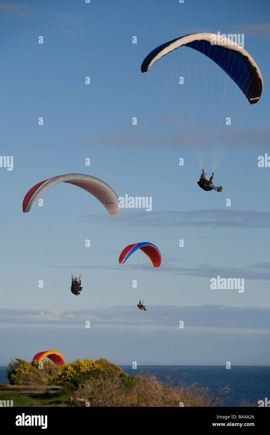 Pilotes de parapente voler le long de la route des falaises côtières de Dallas à Victoria, BC, Canada. Banque D'Images