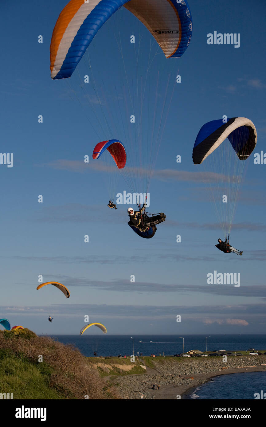 Pilotes de parapente voler le long de la route des falaises côtières de Dallas à Victoria, BC, Canada. Banque D'Images