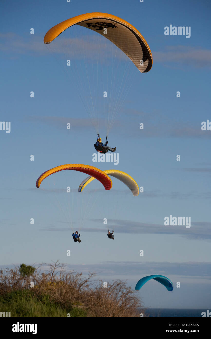 Pilotes de parapente voler le long de la route des falaises côtières de Dallas à Victoria, BC, Canada. Banque D'Images