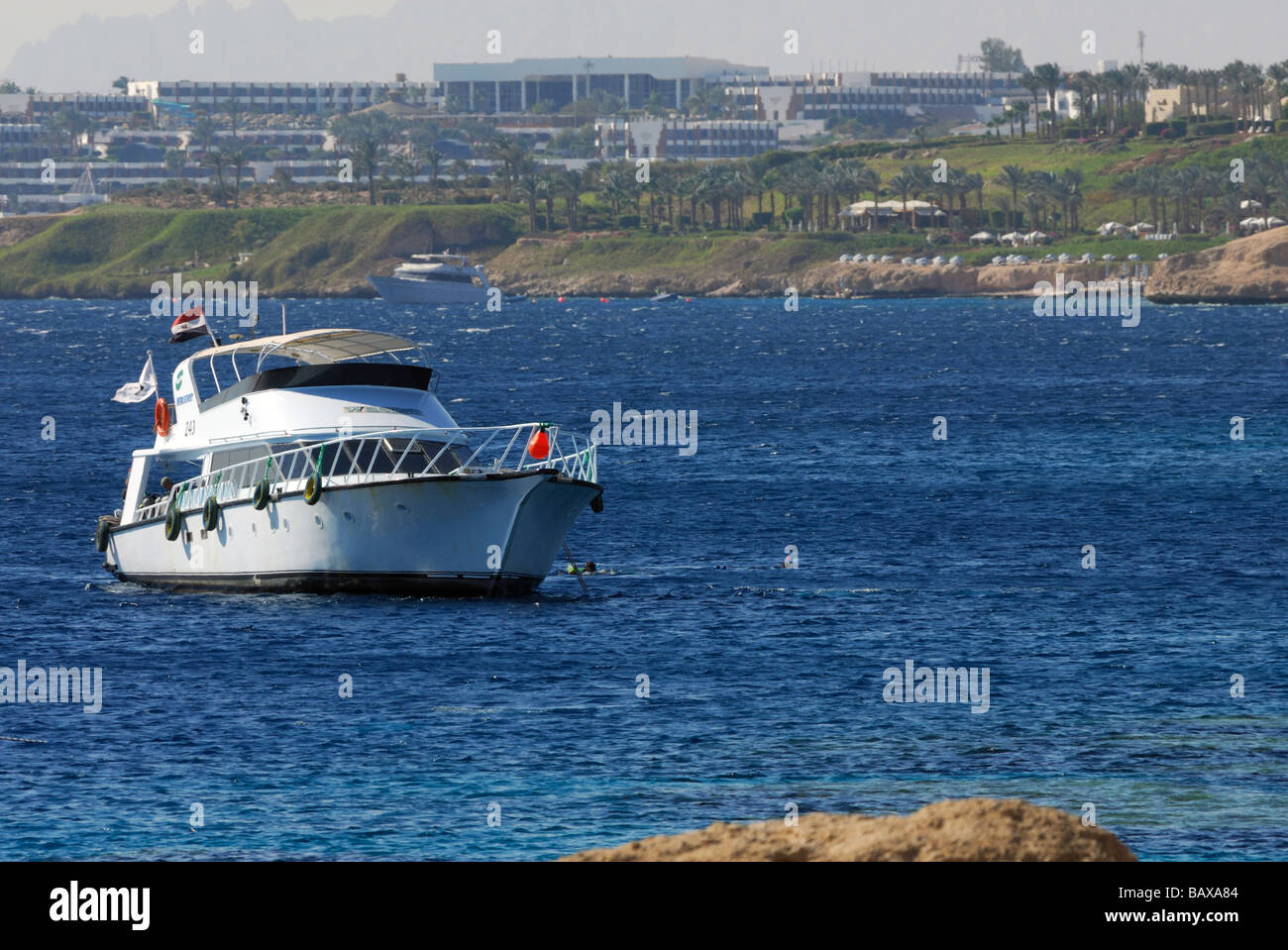 La plongée avec tuba ou la plongée à Ras Nasrani à Sharm el-Sheikh Égypte Banque D'Images