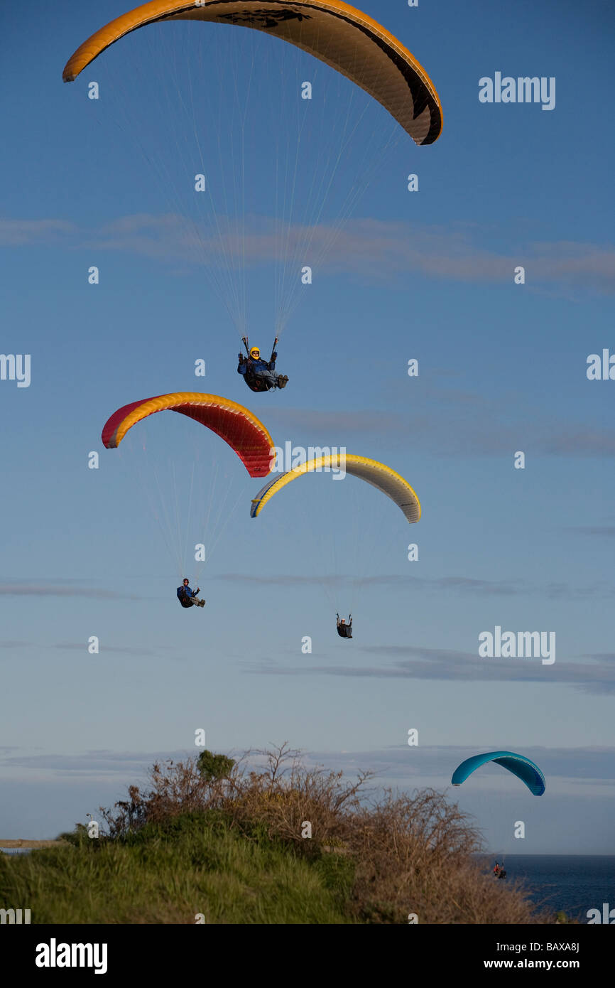 Pilotes de parapente voler le long de la route des falaises côtières de Dallas à Victoria, BC, Canada. Banque D'Images