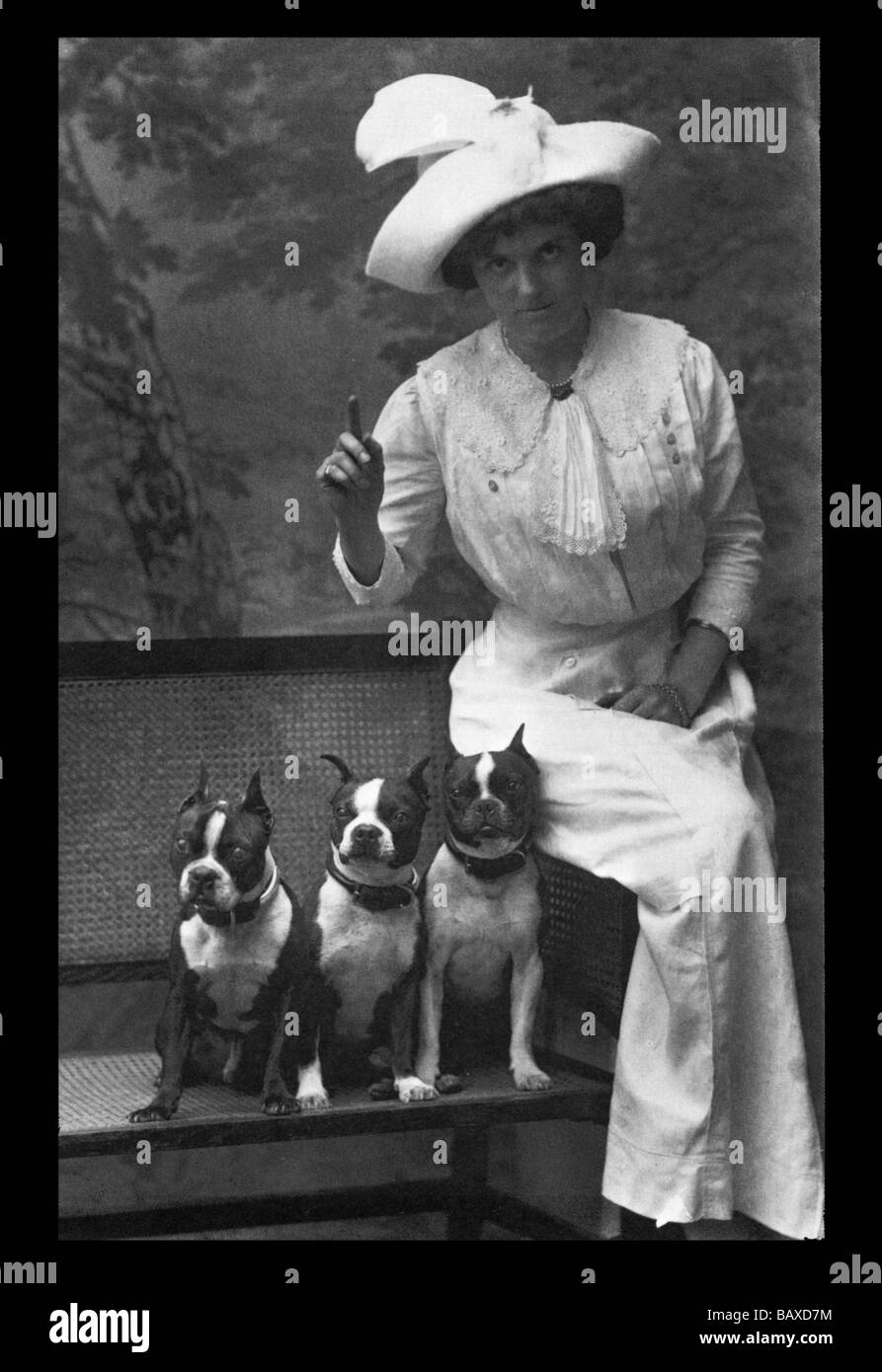 Mme Rhoades et ses trois terriers Boston Banque D'Images