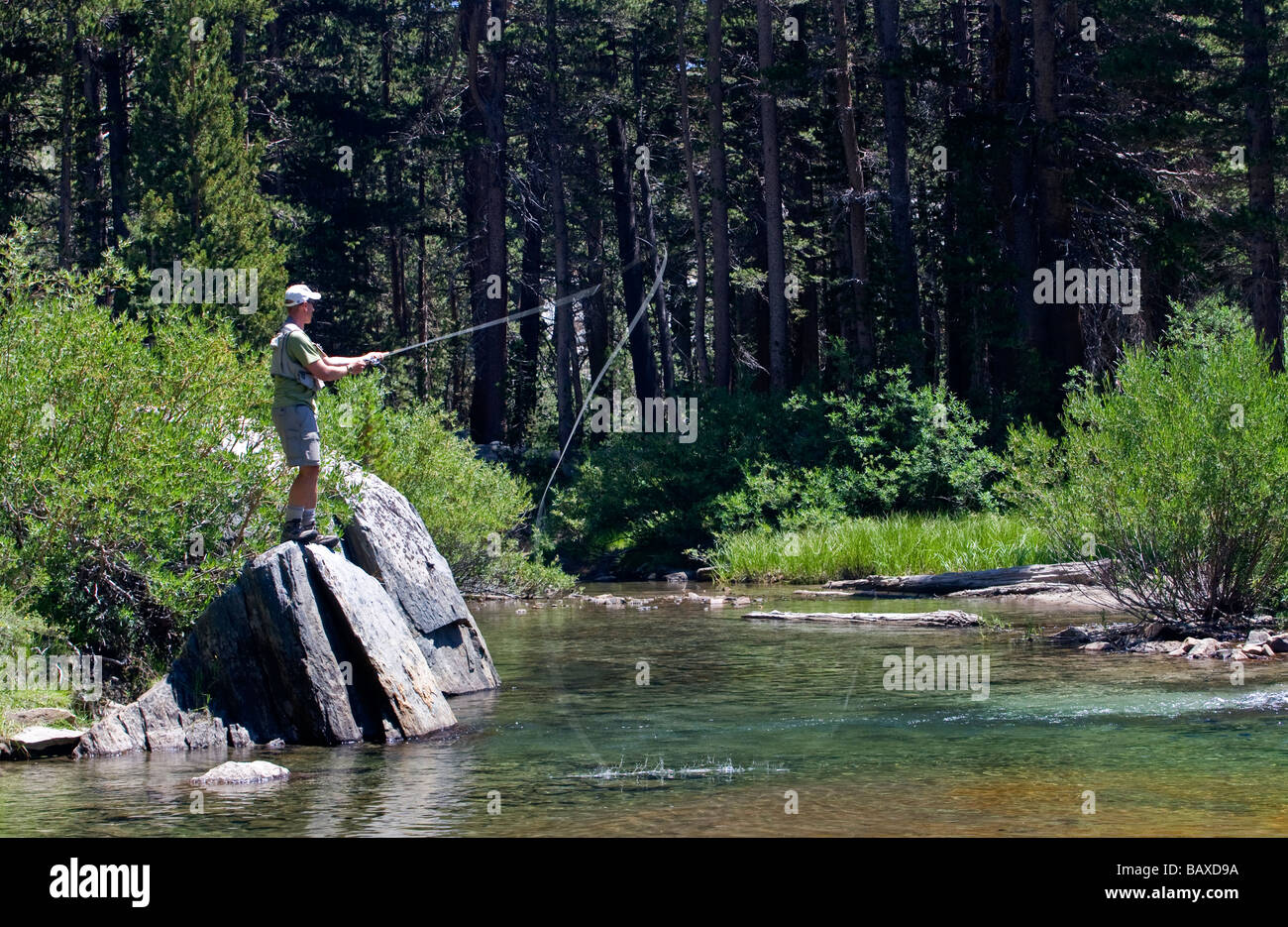 Les pêcheurs à la mouche dans la Sierra Nevada, en Californie. Banque D'Images