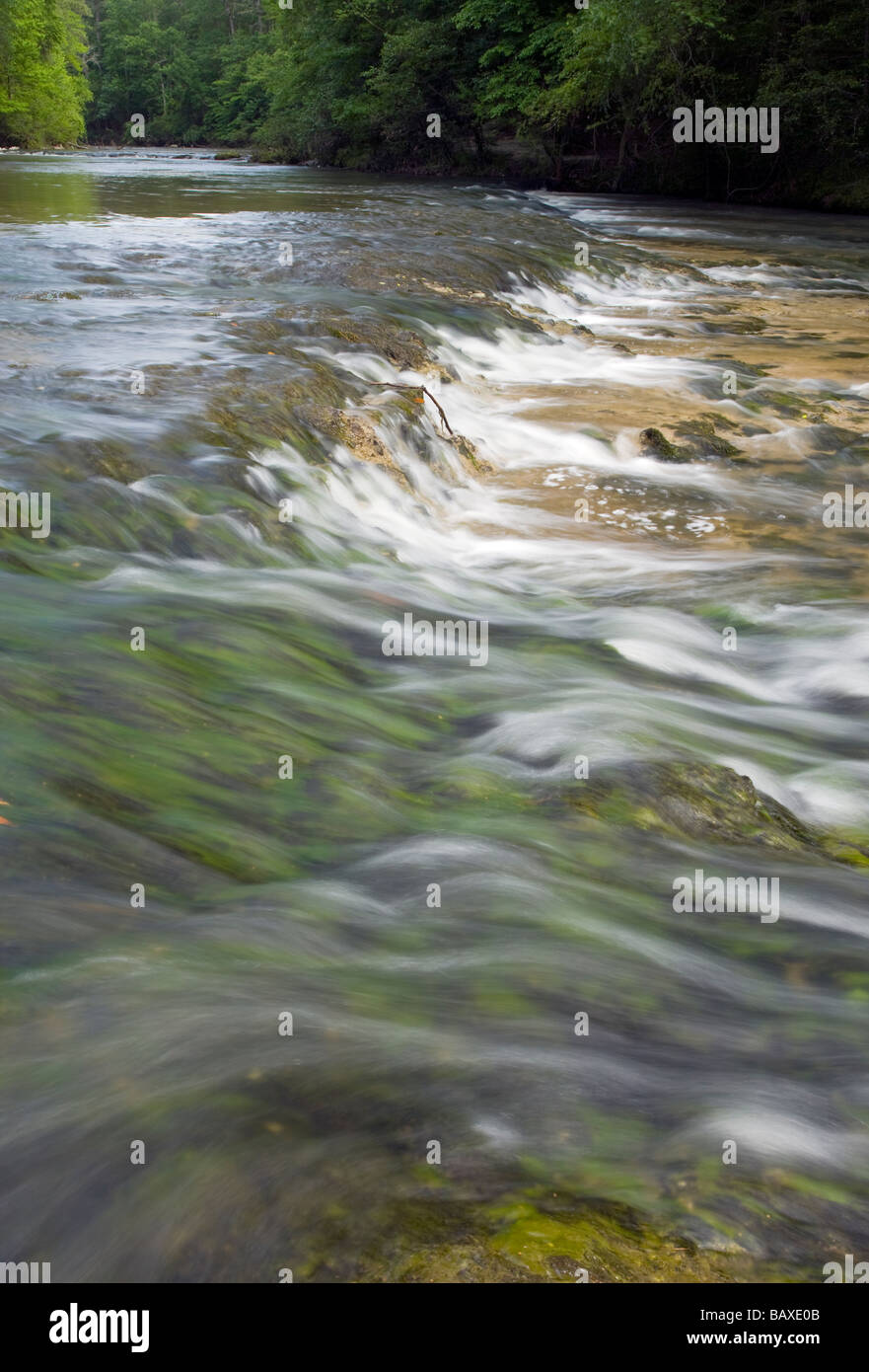 Kistachie Bayou, forêt nationale de Kisatchie, Louisiane Banque D'Images