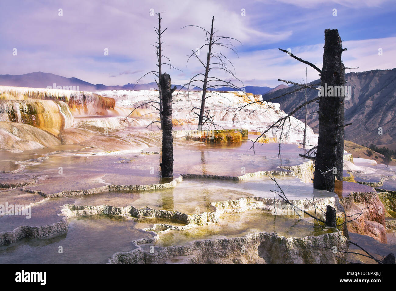 Rose fantastique paysage dans le parc national de Yellowstone Banque D'Images