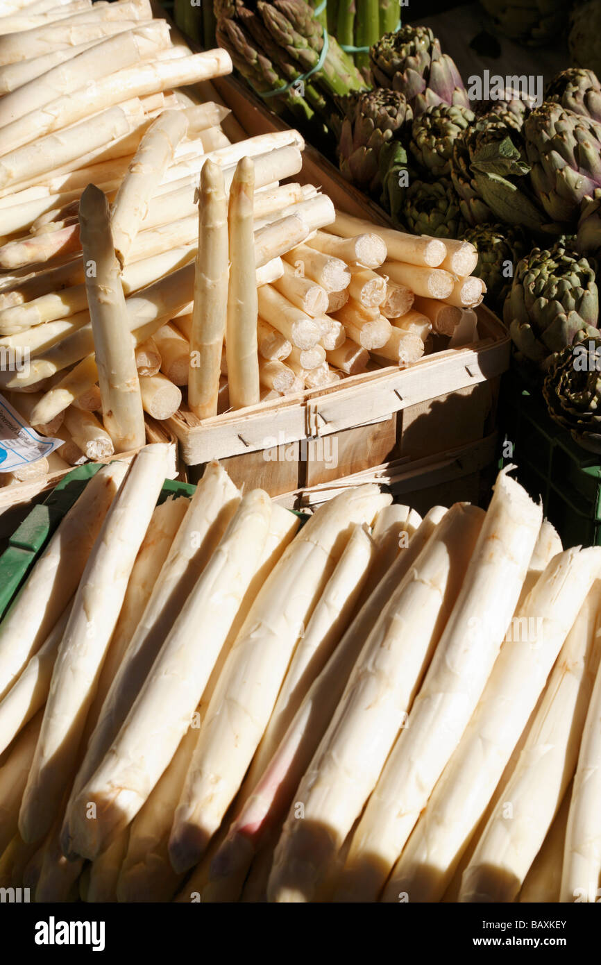 Asperges fraîches sur un étal de fruits et légumes, Marché, Bâle, Suisse Banque D'Images