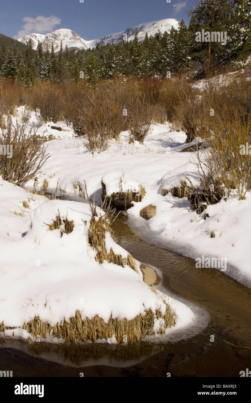 Paysage de la rivière Snowy - Rocky Mountain National Park - Estes Park, Colorado Banque D'Images