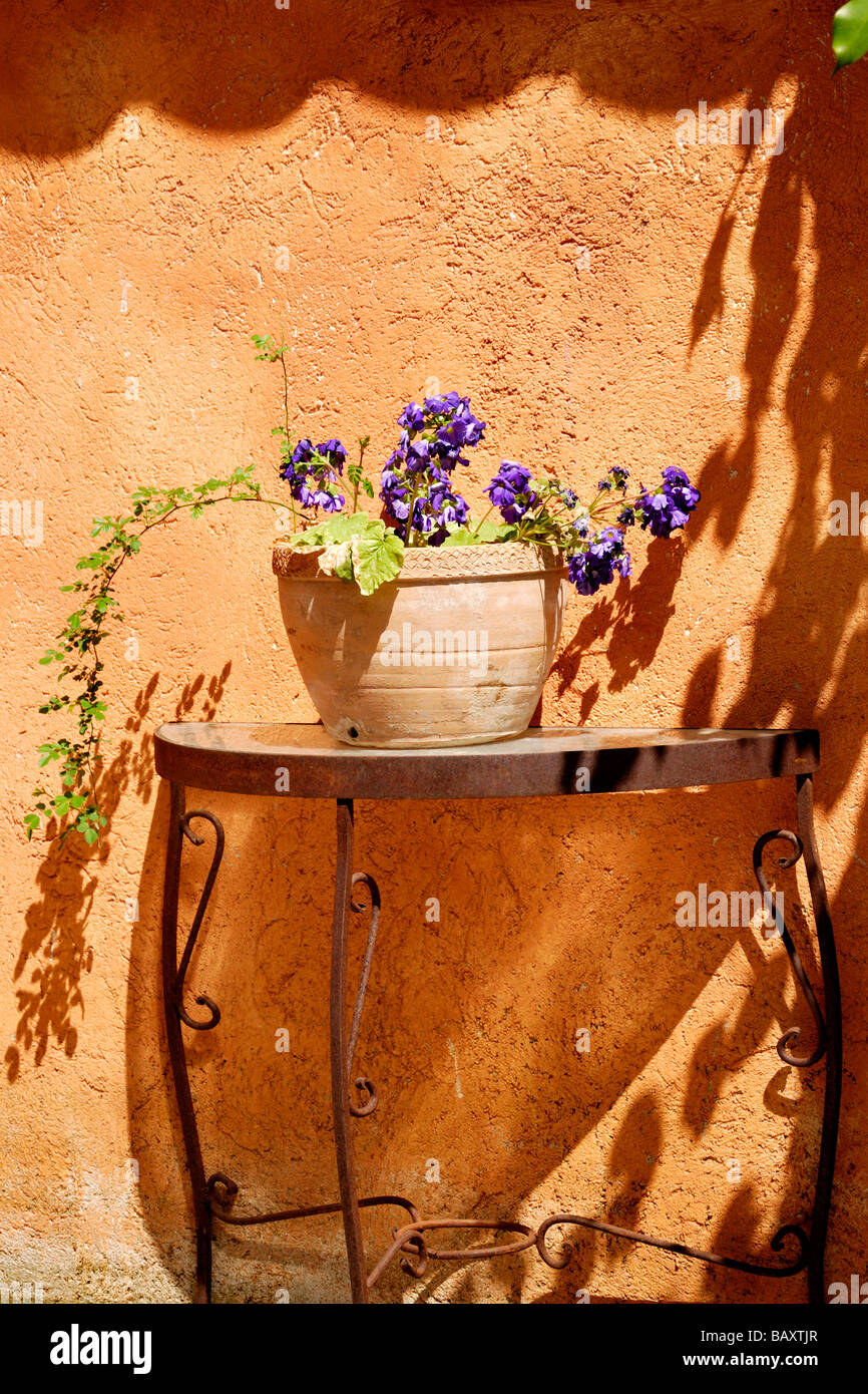 Table en fer avec de grandes fleurs et de pot de se répandre contre mur Méditerranéen Banque D'Images