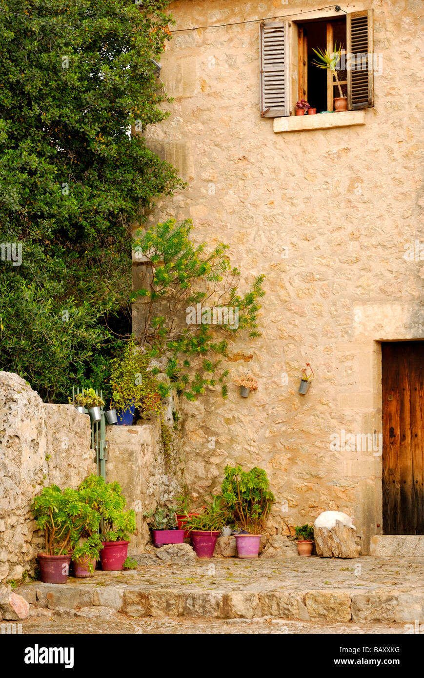Maison en pierre rustique en bois avec porte avant et de plantes en pot et chat blanc Banque D'Images