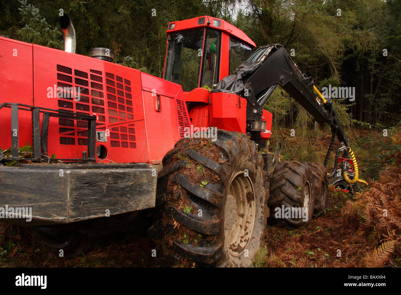 Une machine forestière Valmet en woodland Limousin France Banque D'Images