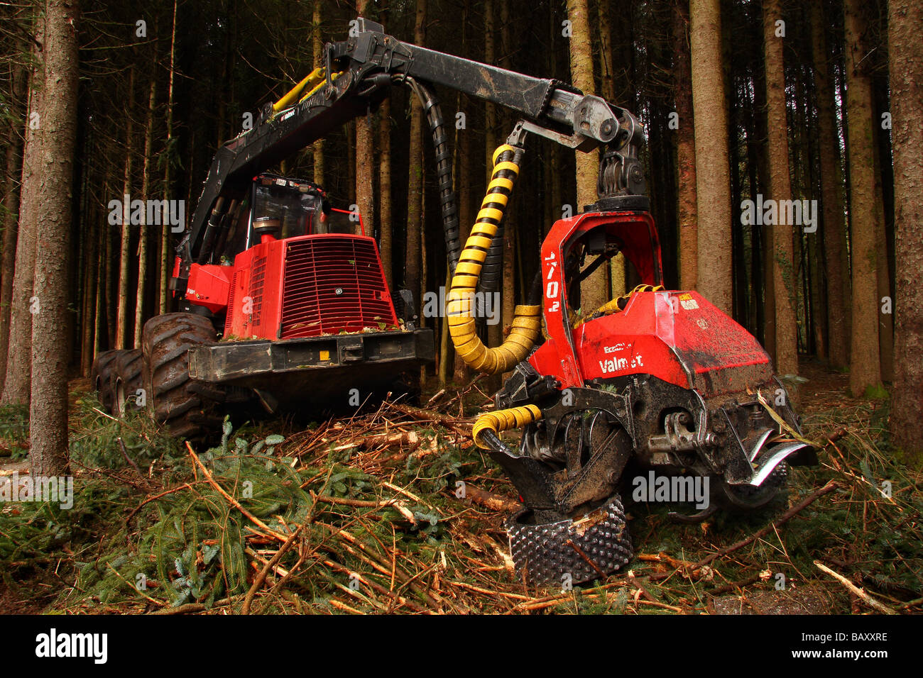 Une machine forestière Valmet en woodland le bras étendu vers la caméra Limousin France Banque D'Images