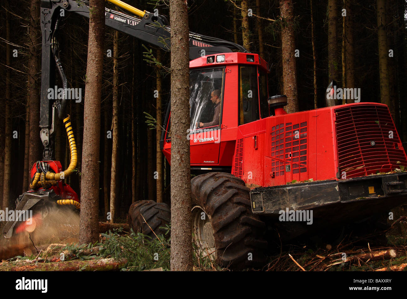 Une machine forestière Valmet couper un arbre dans un bois Limousin France Banque D'Images