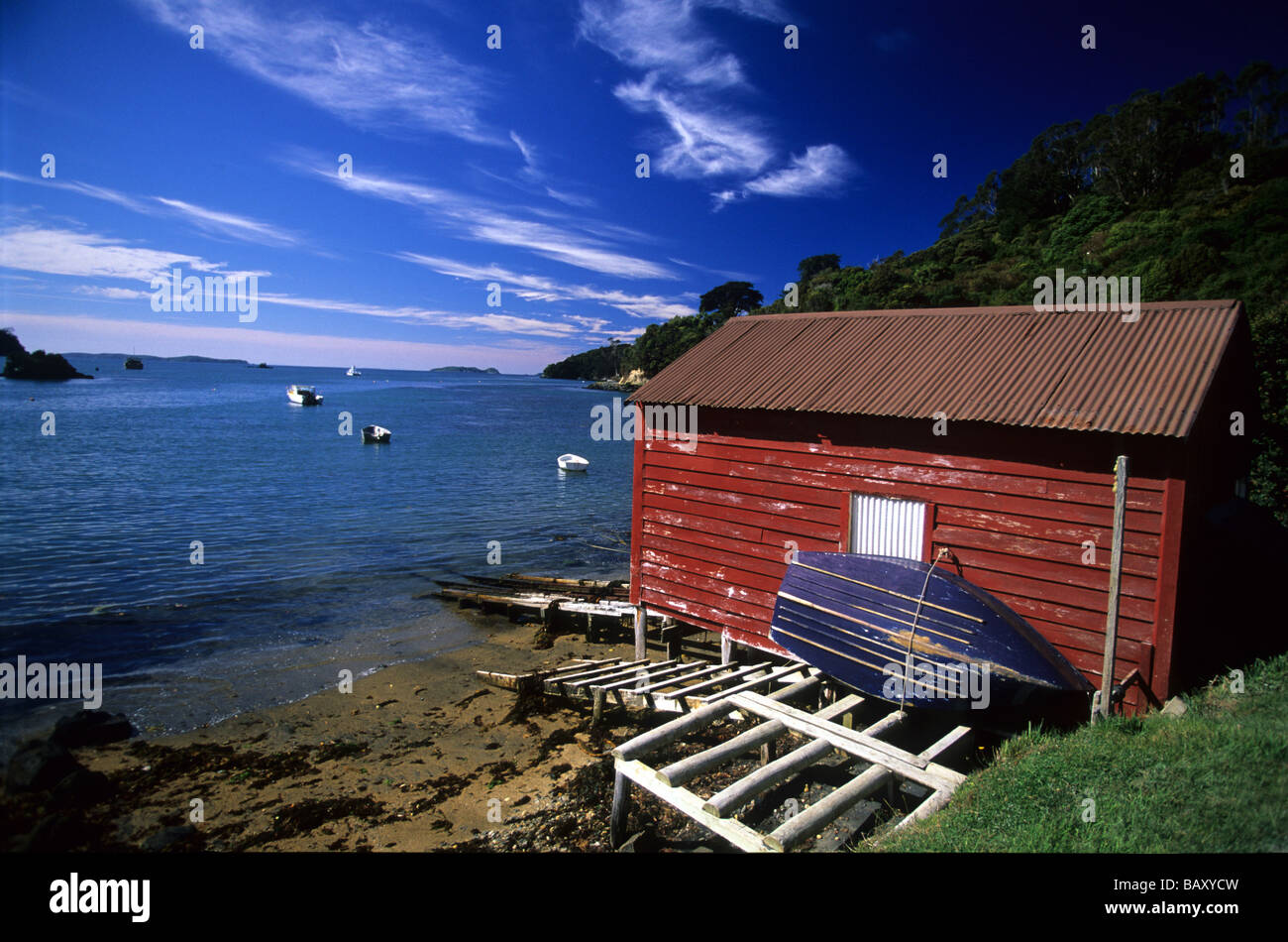 Un hangar à une petite baie, Steward Island, New Zealand Banque D'Images