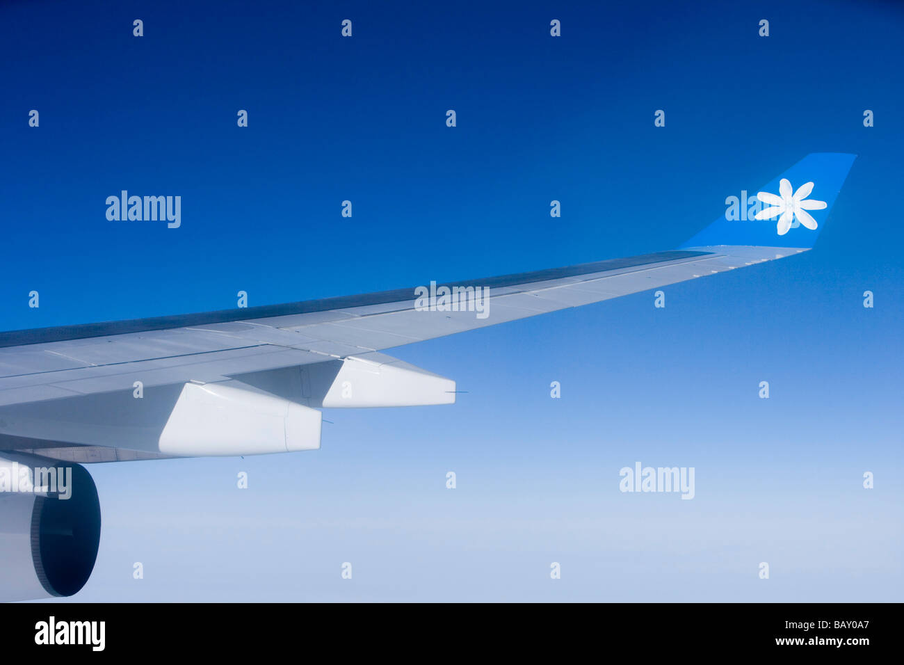 Photo aérienne d'Air Tahiti Nui Airbus A340 aile avec fleur de Tiaré logo sur l'aile, Polynésie Française Banque D'Images