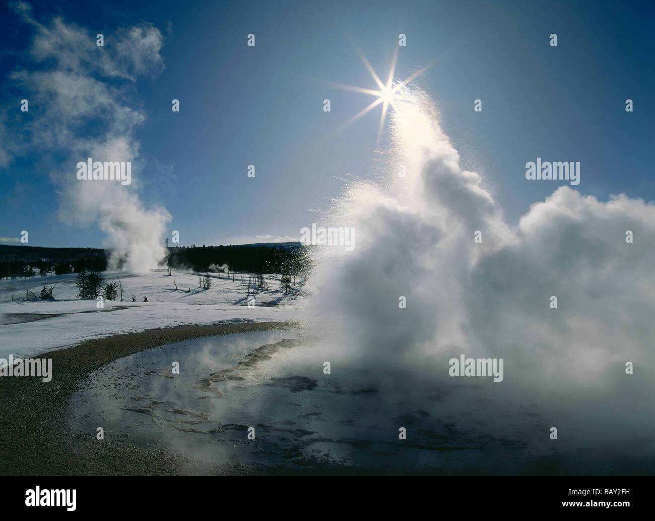 L'augmentation de vapeur geyser spasmodique, Upper Geyser Basin, parc national de Yellowstone, Wyoming, en Amérique du Nord, Etats-Unis Banque D'Images