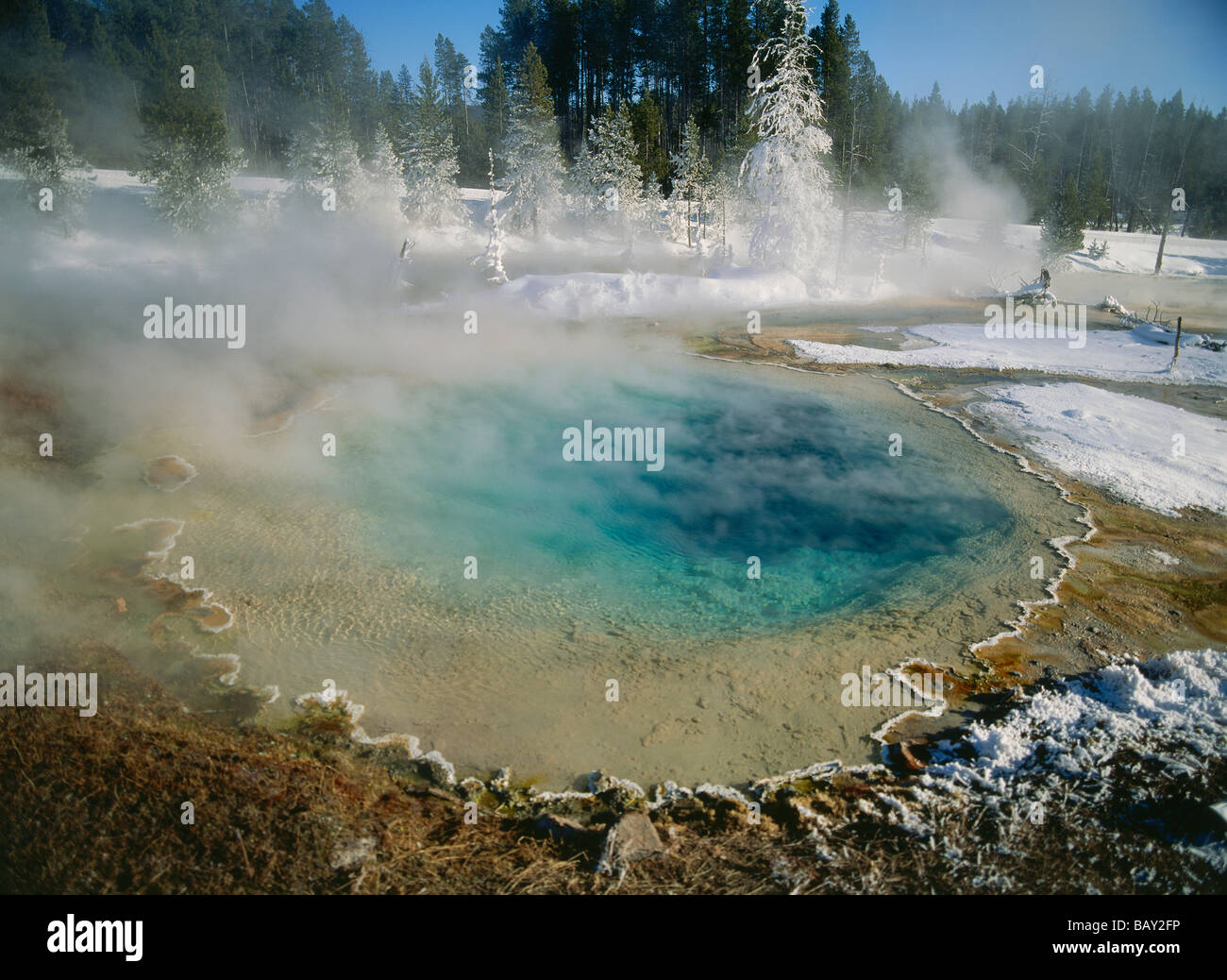 Un printemps chaud en silex Printemps, Fontaine Pot de peinture, le parc national de Yellowstone, Wyoming, en Amérique du Nord, Etats-Unis Banque D'Images