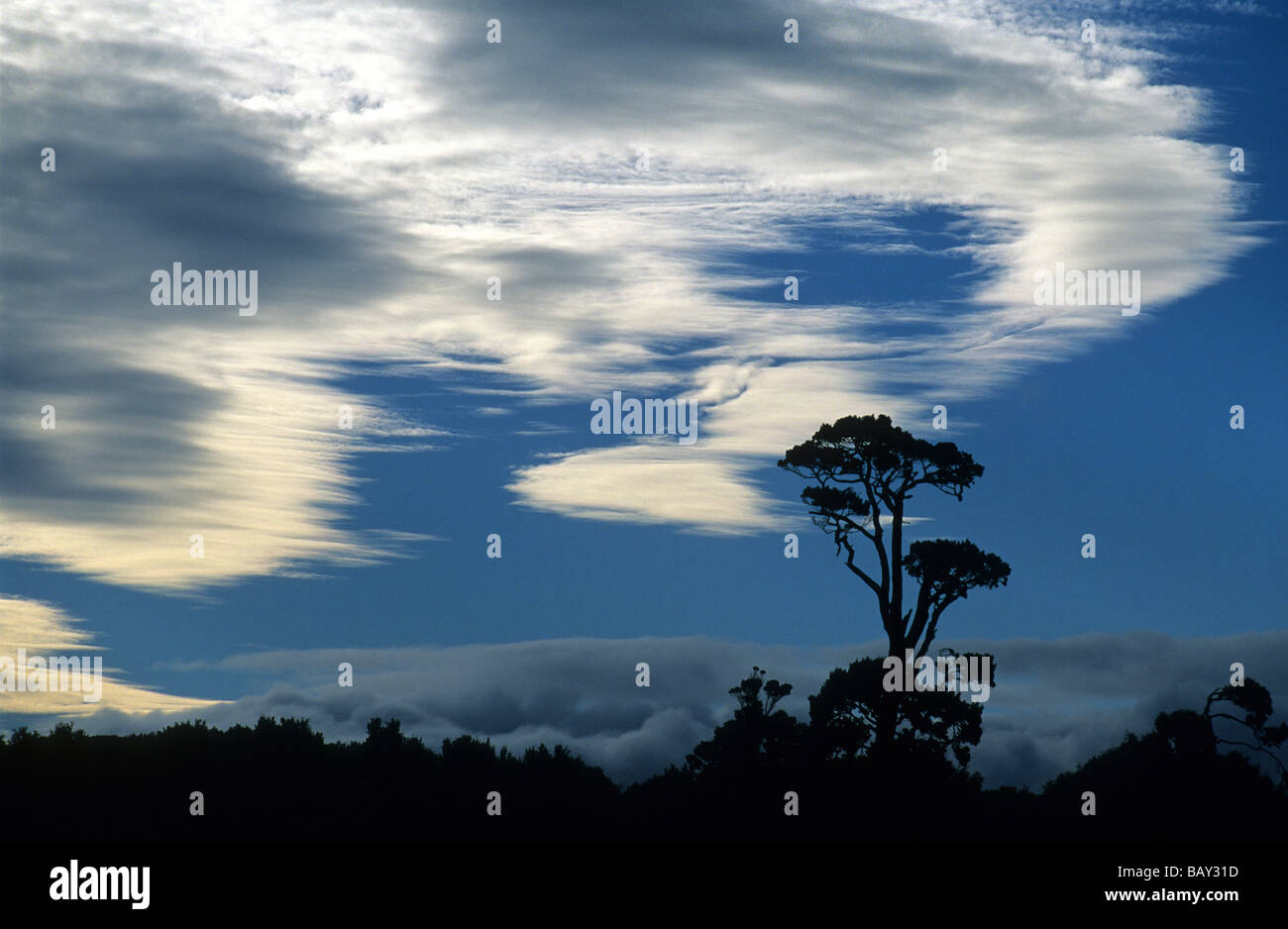 Storm clouds over Catlin Coast, Nouvelle-Zélande Banque D'Images