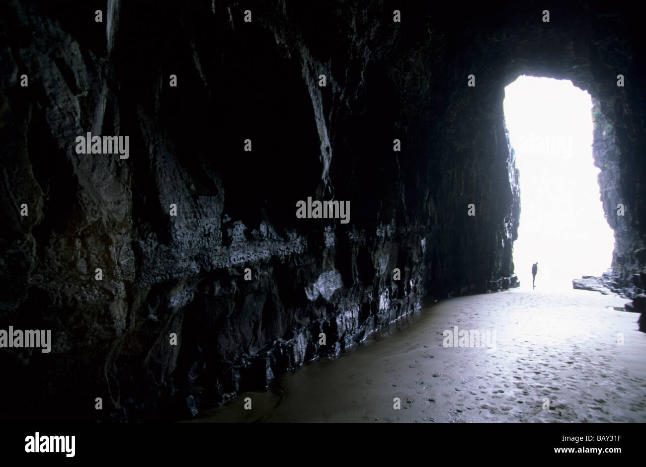 L'une des grottes de la Cathédrale, Catlin coast, Nouvelle-Zélande Banque D'Images