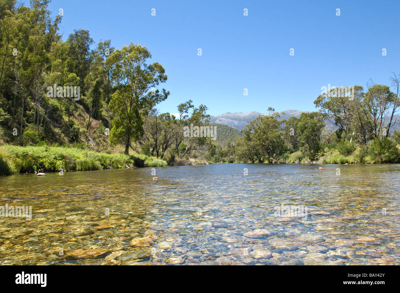 Plaines marécageuses de la vallée du ruisseau Geehi Parc National de Kosciuszko Australie Nouvelle Galles du Sud Banque D'Images