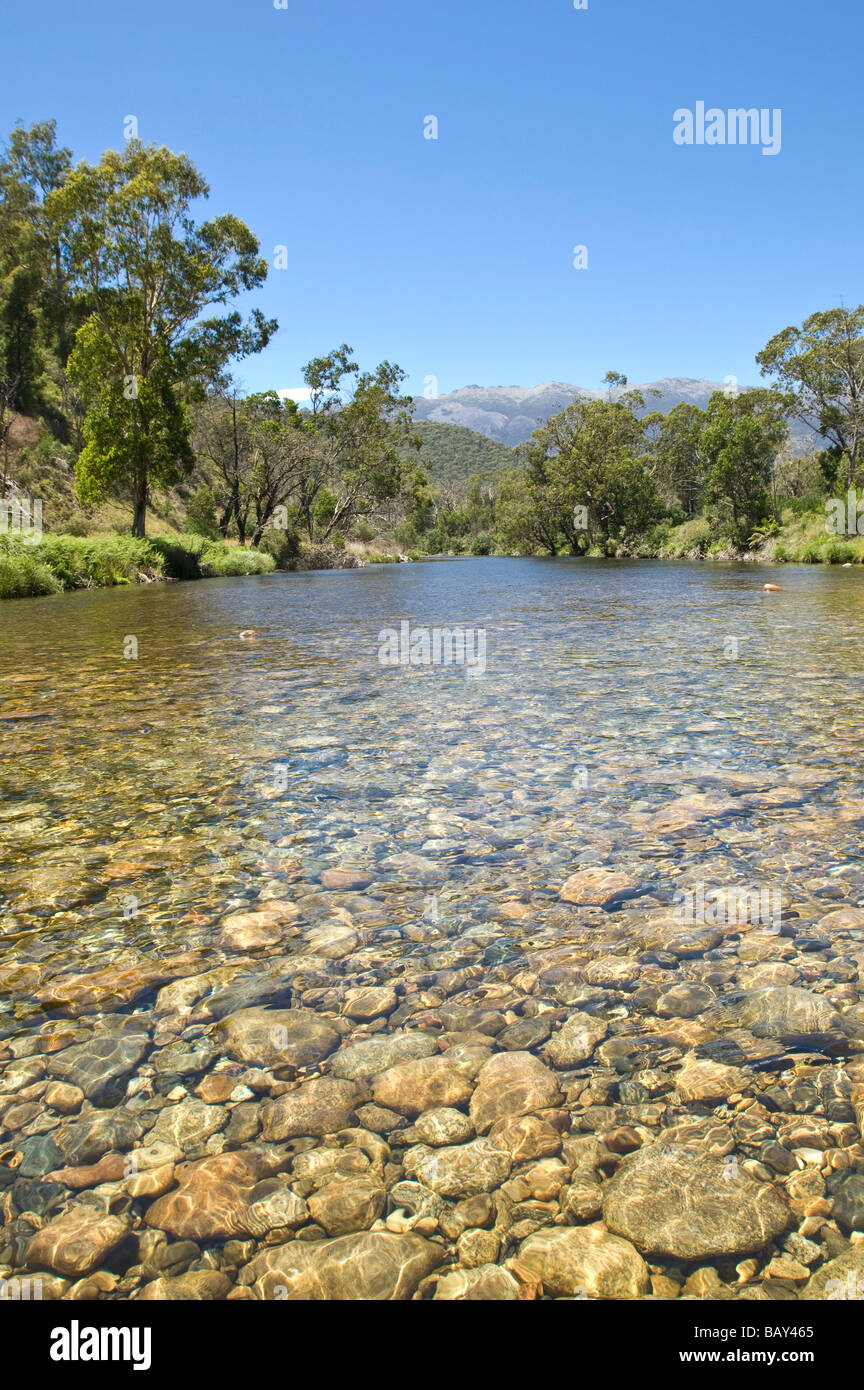 Plaines marécageuses de la vallée du ruisseau Geehi Parc National de Kosciuszko Australie Nouvelle Galles du Sud Banque D'Images