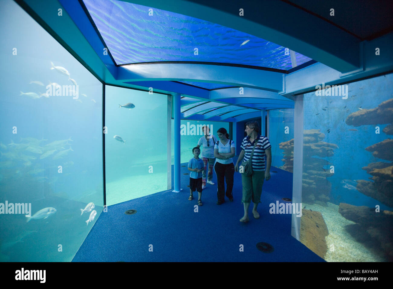 Famille à l'Aquarium de Palma, El Arenal, Playa de Palma, Majorque, Îles  Baléares, Espagne Photo Stock - Alamy