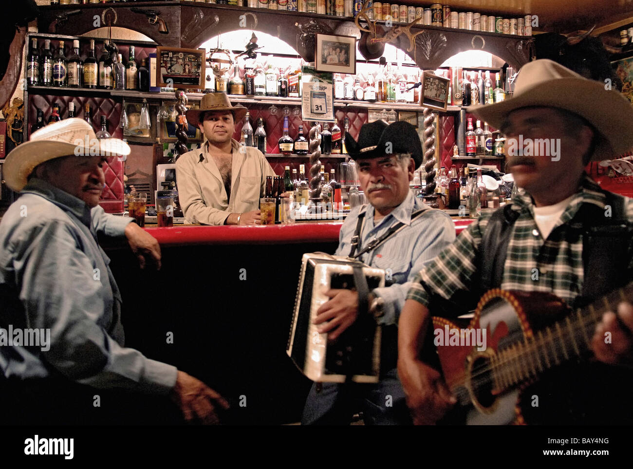 Trois musiciens et un bar keeper dans un saloon à San Miguel de Allende, Mexique Banque D'Images